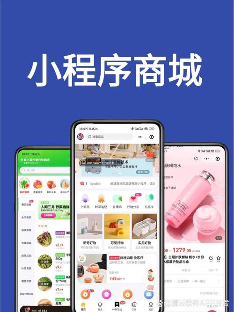 四川软件开发的蓬勃之势